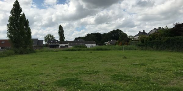 Villa M